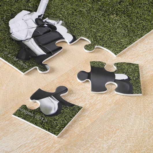 Lacrosse sticks, handschoenen, ballen en sporthelm legpuzzel (Zijkant)