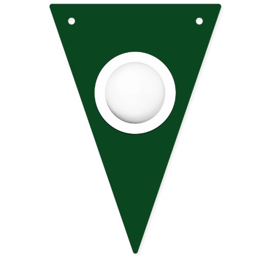 Lacrosse Team Green Vlaggetjes (Tweede vlag)