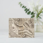 Lacs vulcaniques briefkaart (Staand voorkant)