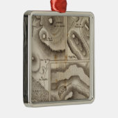 Lacs vulcaniques metalen ornament (Rechts)