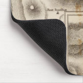 Lacs vulcaniques muismat (Hoek)