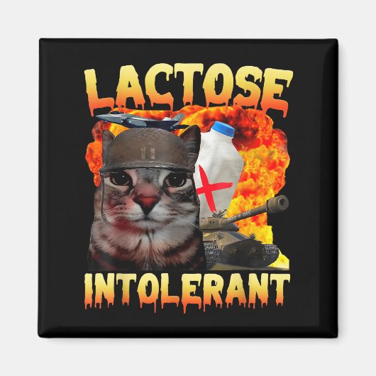 Lactose Intolerant Silly Cat Meme Funny Saying Cat Magneet (Voorkant)