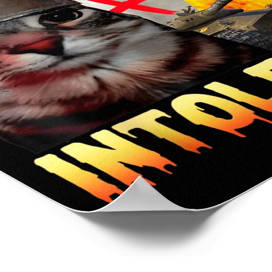 Lactose Intolerant Silly Cat Meme Funny Saying Cat Poster (Hoek)