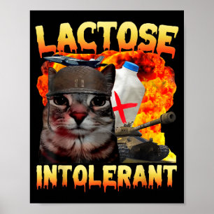 Lactose-intolerante domme kat meme grappige spreuk poster