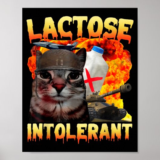 Lactose-intolerante domme kat meme grappige spreuk poster (Voorkant)