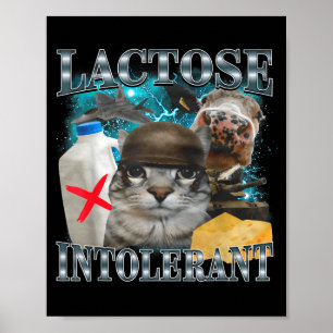 Lactose-intolerante Dwaze Kat Meme Grappige Zin Ka Poster