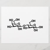 Lactose Melkstructuur Flyer (Achterkant)