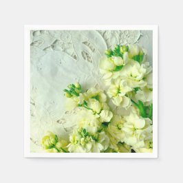 lacunes met witte leugenaars servet