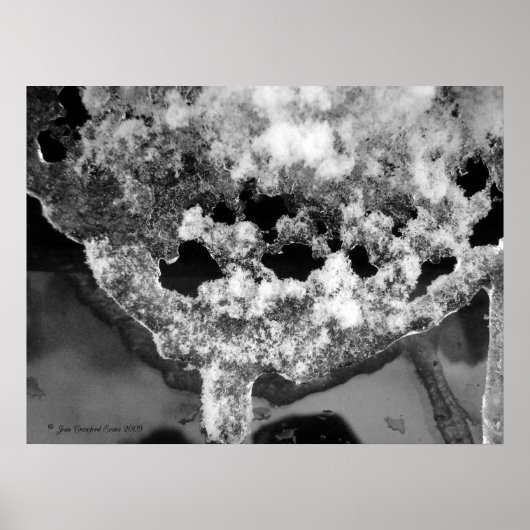 Lacy ice poster (Voorkant)