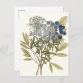 Lacy Leaves - Flowers en Greenery Briefkaart (Voorkant / Achterkant)