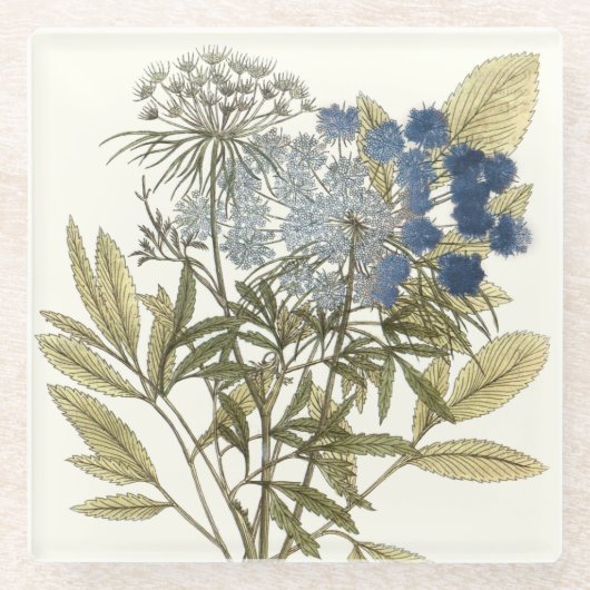 Lacy Leaves - Flowers en Greenery Glazen Onderzetter (Voorkant)