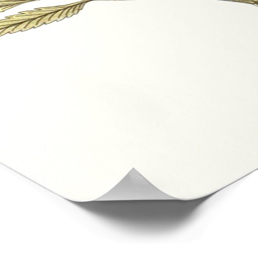 Lacy Leaves - Flowers en Greenery Poster (Hoek)