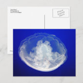 Lacy Moon Briefkaart (Voorkant / Achterkant)