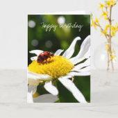 Ladbybug en madeliefjes kaart (Gele Bloem)