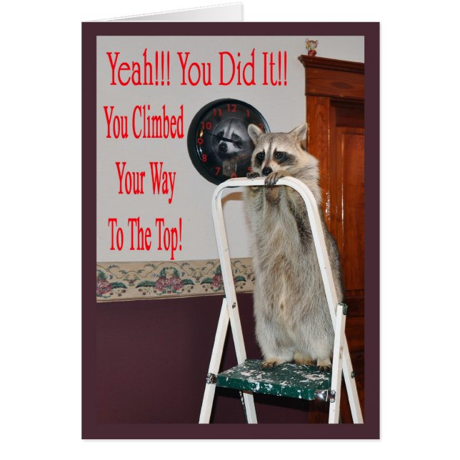 ladder 2 vervangen (Voorkant)