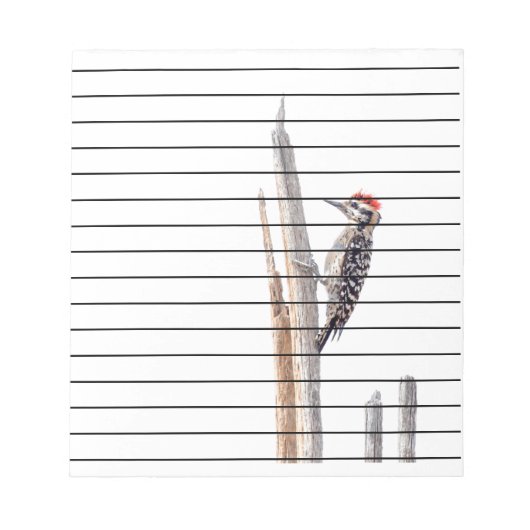 Ladder-Backed Woodpecker Notitieblok (Voorkant)