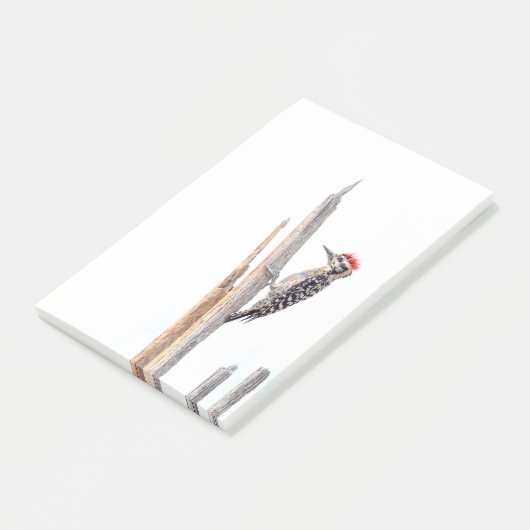 Ladder-Backed Woodpecker Post-it® Notes (Schuin)