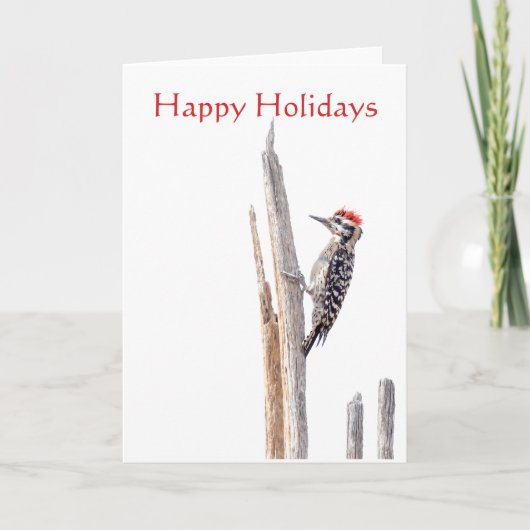 Ladder-Backed Woodpecker, Prettige feestdagen (Voorkant)