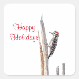 Ladder-Backed Woodpecker Vierkante Sticker