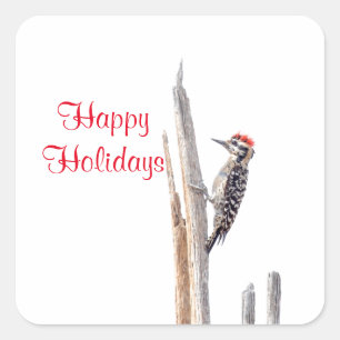 Ladder-Backed Woodpecker Vierkante Sticker
