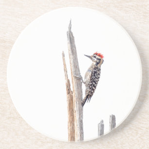 Ladder-Backed Woodpecker Zandsteen Onderzetter