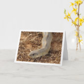 Ladder Snake Kaart (Gele Bloem)