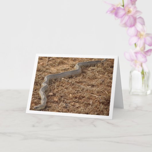 Ladder Snake Kaart (Orchidee)