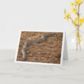 Ladder Snake Kaart (Gele Bloem)