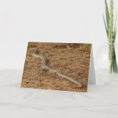 Ladder Snake Kaart (Voorkant)