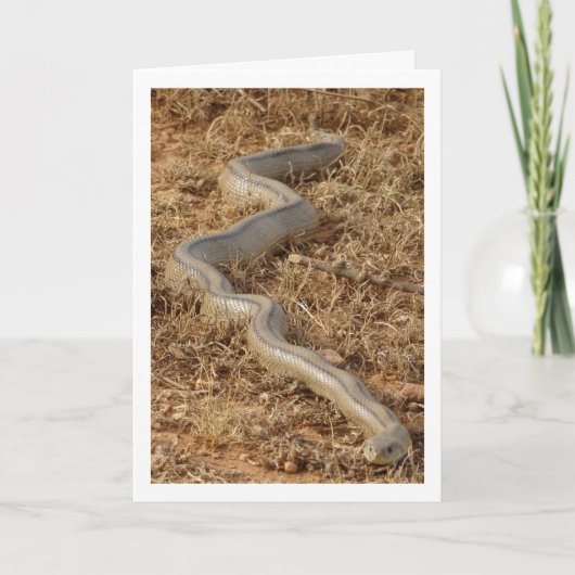 Ladder Snake Kaart (Voorkant)