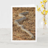 Ladder Snake Kaart (Gele Bloem)