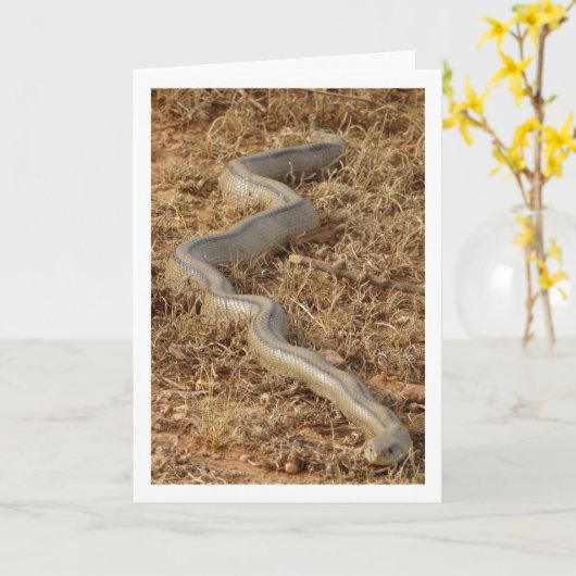 Ladder Snake Kaart (Gele Bloem)