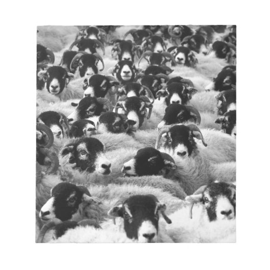 LADEN Ram Sheep Black en White Notitieblok (Voorkant)