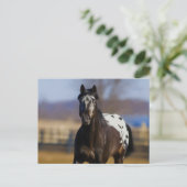 Lader Briefkaart (Staand voorkant)