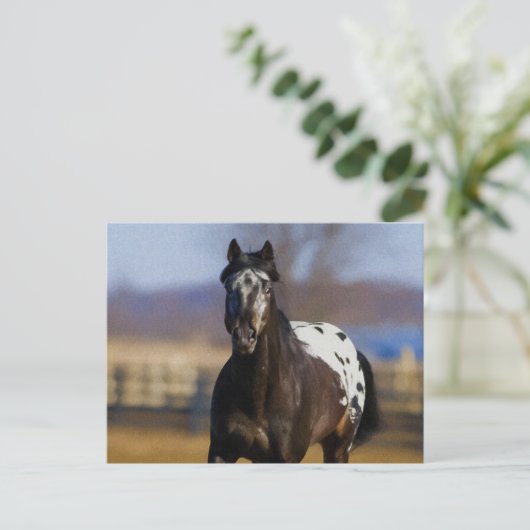 Lader Briefkaart (Staand voorkant)