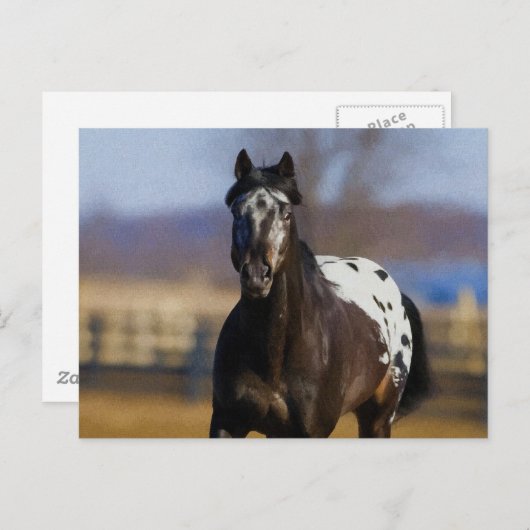 Lader Briefkaart (Voorkant / Achterkant)