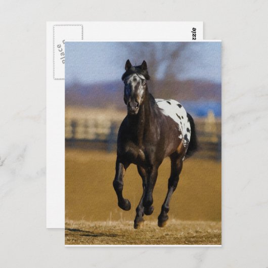 Lader Briefkaart (Voorkant / Achterkant)