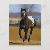 Lader Briefkaart (Voorkant)