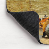 Lader Muismat (Hoek)