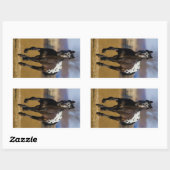 Lader Rechthoekige Sticker (Vel)