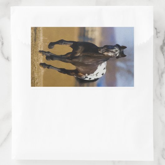 Lader Rechthoekige Sticker (Tas)