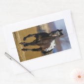 Lader Rechthoekige Sticker (Envelop)