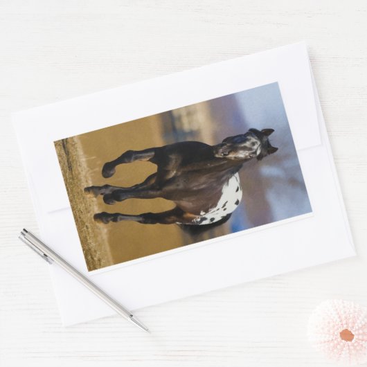 Lader Rechthoekige Sticker (Envelop)