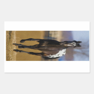 Lader Rechthoekige Sticker