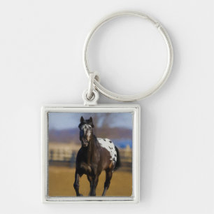 Lader Sleutelhanger