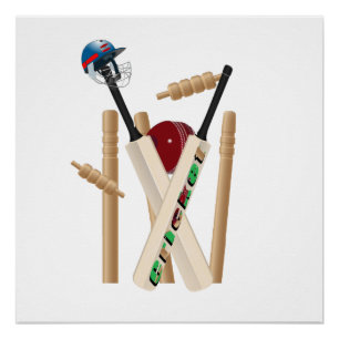 Ladies Cricket The Game Allrounder, Perfect Poster