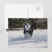 Lading door Briefkaart (Voorkant / Achterkant)