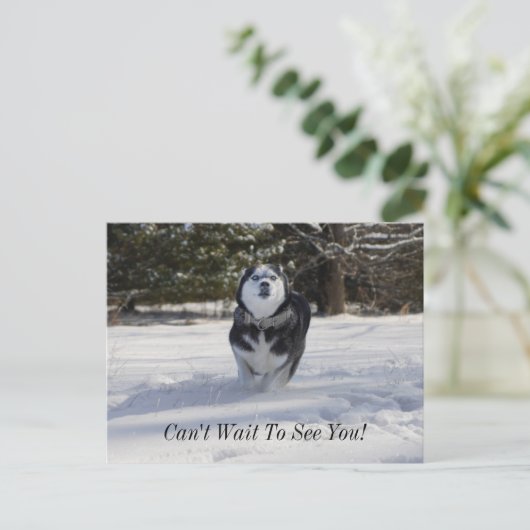 Lading door Briefkaart (Staand voorkant)