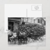 Lading van kerstbomen, 1910 feestdagenkaart (Voorkant / Achterkant)