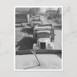 Ladingen van schelpdieren briefkaart